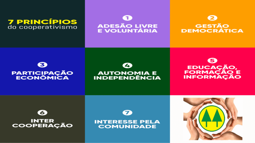 Os Princípios Cooperativistas no Século XXI: Uma Reflexão Para os Tempos Atuais